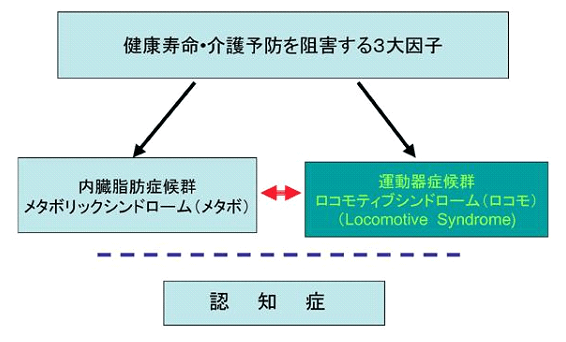 健康寿命・介護予防を阻害する3大因子 内臓氏b郷症候群 メタボリックシンドローム(メタボ) 運動器症候群ロコモティブシンドローム(ロコモ)(Locomotive Syndorome) 認知症